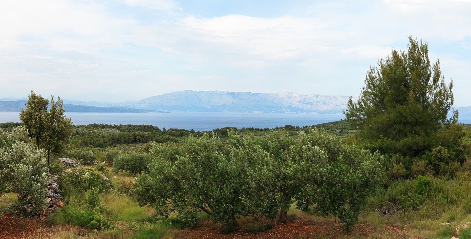 Day 5 in Hvar